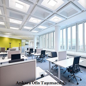 Adana Ofis Büro Taşıma